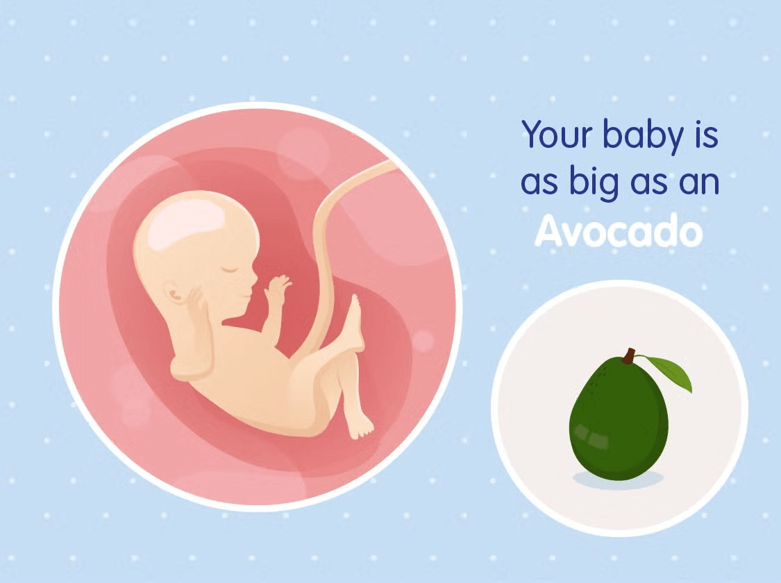 Un bébé dans le ventre de sa mère sur un fond bleu, symbolisant le développement de la vie