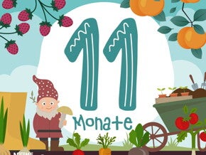 11 Monate