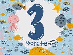 Monate 3