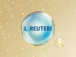 L. reuteri