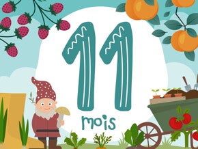11 mois