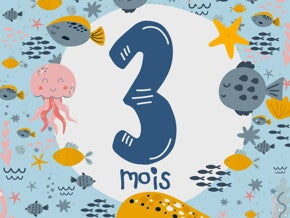 3 mois