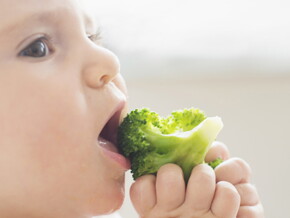 Kauen lernen / Apprendre à mâcher - Nestlé Baby Kauen lernen / Apprendre à mâcher - Nestlé Baby