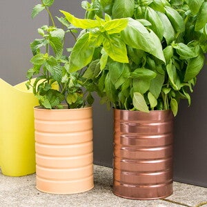 Der BEBA Blumentopf Der BEBA Blumentopf