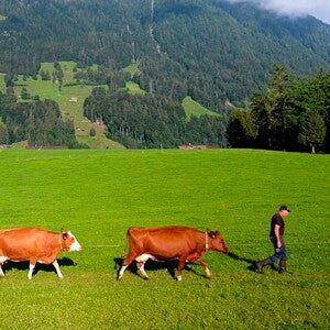 Engagiert für die Bio-Qualität Engagiert für die Bio-Qualität