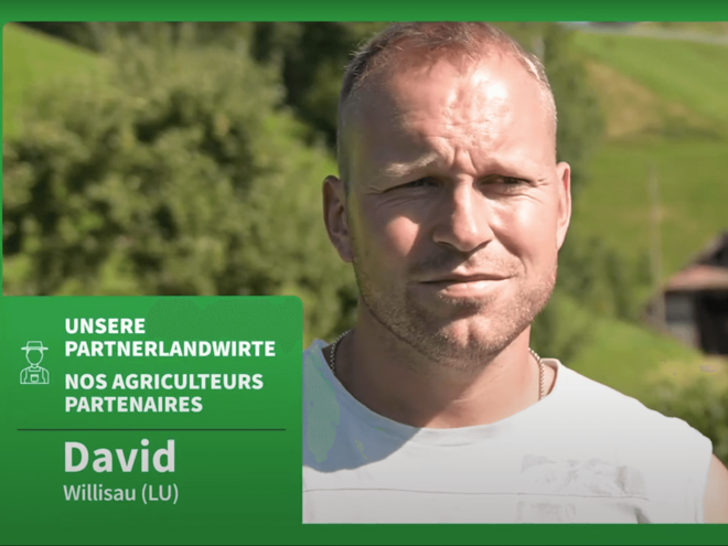 David