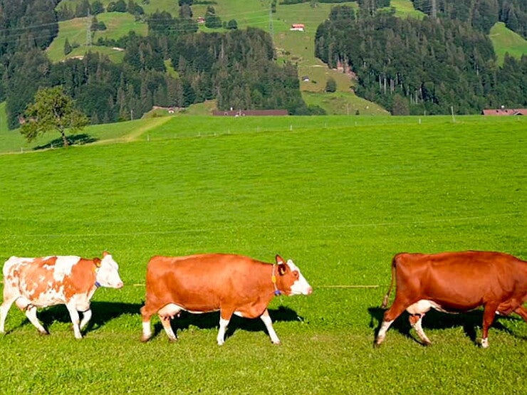 Engagiert für die Bio-Qualität Engagiert für die Bio-Qualität
