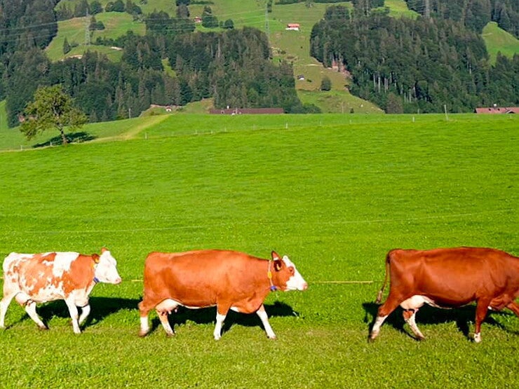 Engagiert für die Bio-Qualität