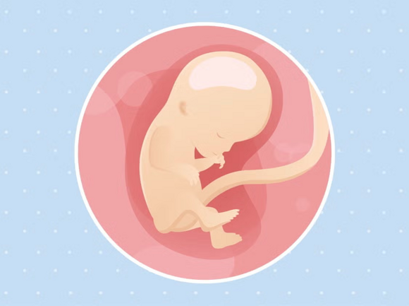 Babys Entwicklung Babys Entwicklung