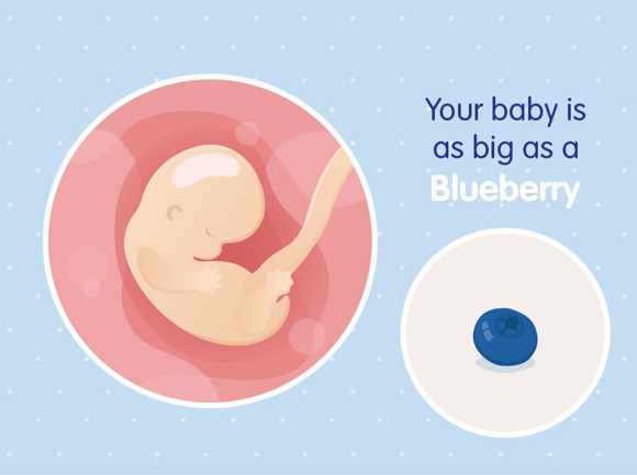 Babys Entwicklung Babys Entwicklung