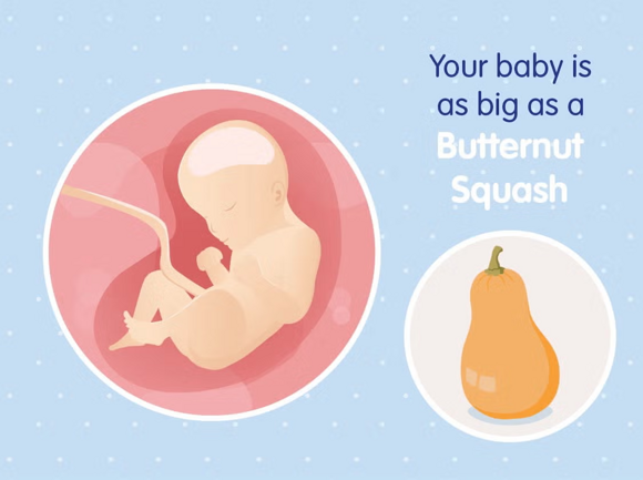 Babys Entwicklung