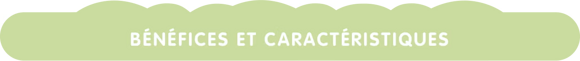 Benefits et caracteristics
