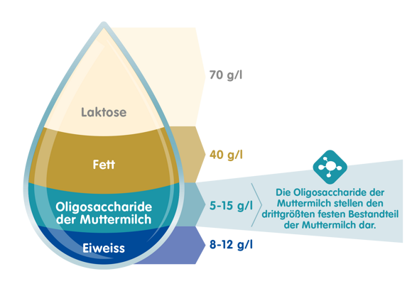 Was sind die Oligosaccharide der Muttermilch (HMOs)? Was sind die Oligosaccharide der Muttermilch (HMOs)?