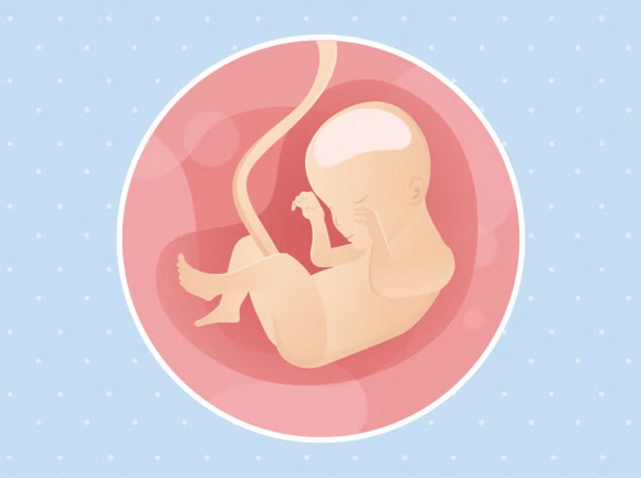 Babys Entwicklung Babys Entwicklung