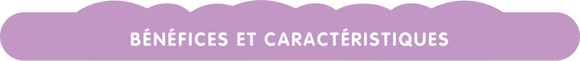Benefits et caracteristics Benefits et caracteristics