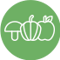 Frukt